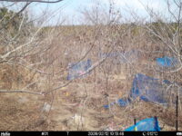 Feb 12 2026 10:13:48, #01