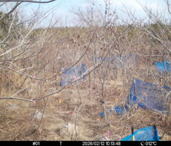 Feb 12 2026 10:13:48, #01