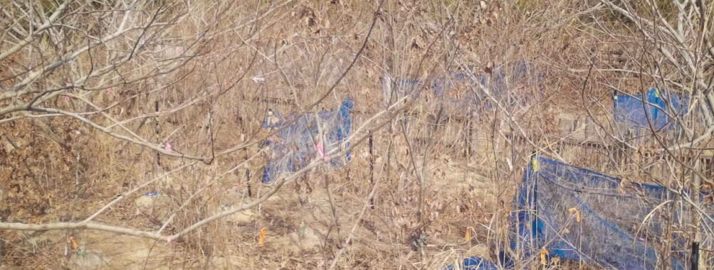 Feb 12 2026 13:13:48, #01