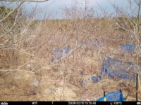 Feb 12 2026 13:13:48, #01