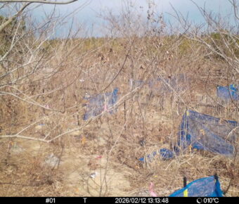 Feb 12 2026 13:13:48, #01