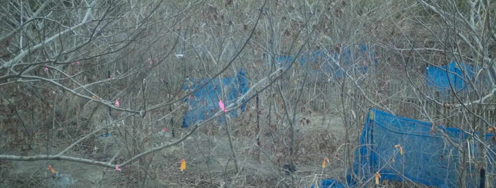 Feb 12 2026 16:13:48, #01