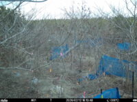 Feb 12 2026 16:13:48, #01