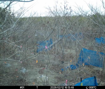 Feb 12 2026 16:13:48, #01