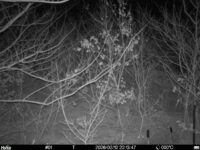 Feb 12 2026 22:13:47, #01