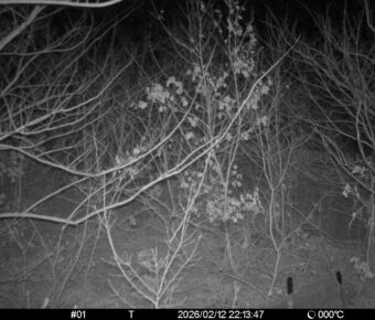 Feb 12 2026 22:13:47, #01