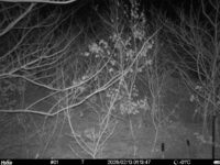 Feb 13 2026  1:13:47, #01