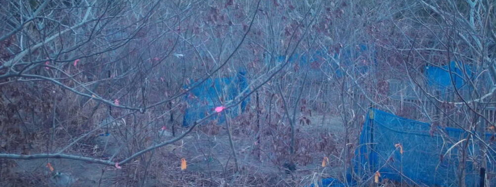 Feb 13 2026  7:13:48, #01