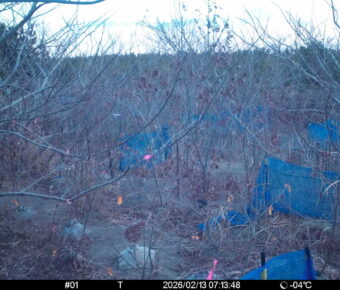 Feb 13 2026  7:13:48, #01