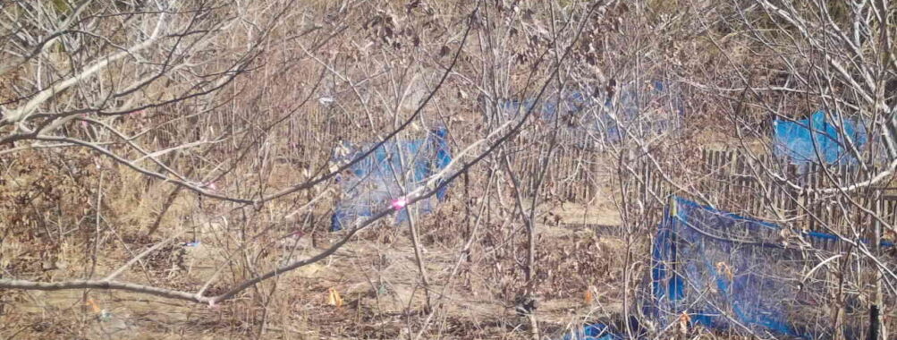 Feb 13 2026 10:13:48, #01