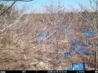 Feb 13 2026 10:13:48, #01