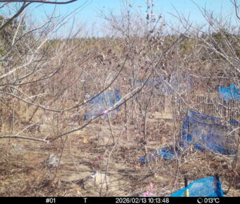 Feb 13 2026 10:13:48, #01