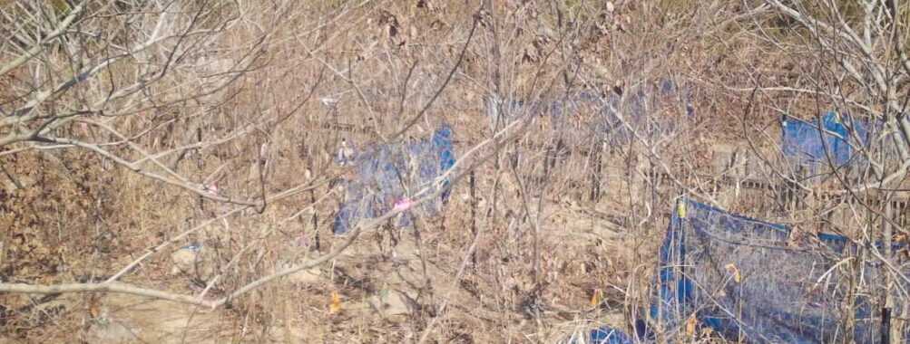 Feb 13 2026 13:13:46, #01