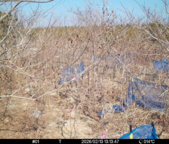 Feb 13 2026 13:13:46, #01