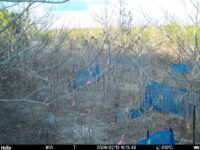 Feb 13 2026 16:13:48, #01