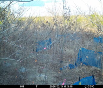 Feb 13 2026 16:13:48, #01