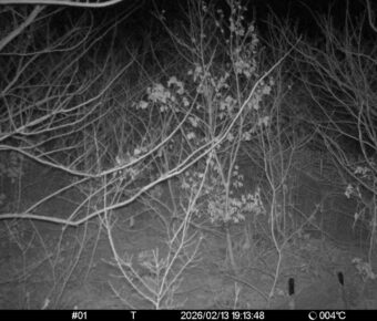 Feb 13 2026 19:13:48, #01