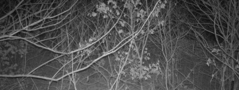 Feb 13 2026 22:13:46, #01