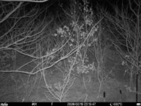 Feb 13 2026 22:13:46, #01