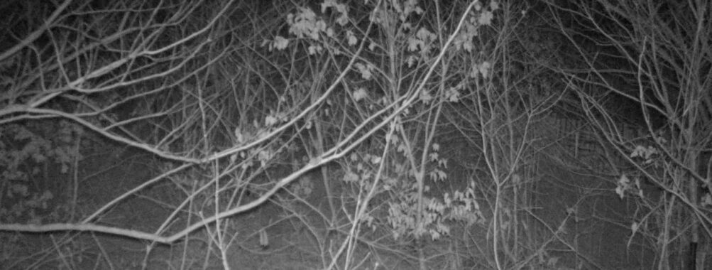 Feb 14 2026  1:13:47, #01