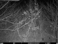 Feb 14 2026  4:13:47, #01