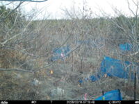 Feb 14 2026  7:13:48, #01