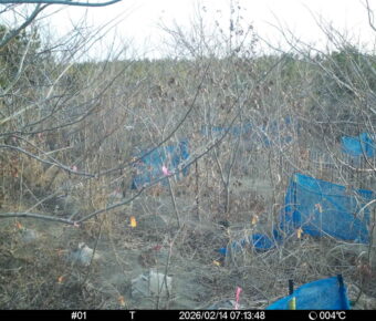 Feb 14 2026  7:13:48, #01