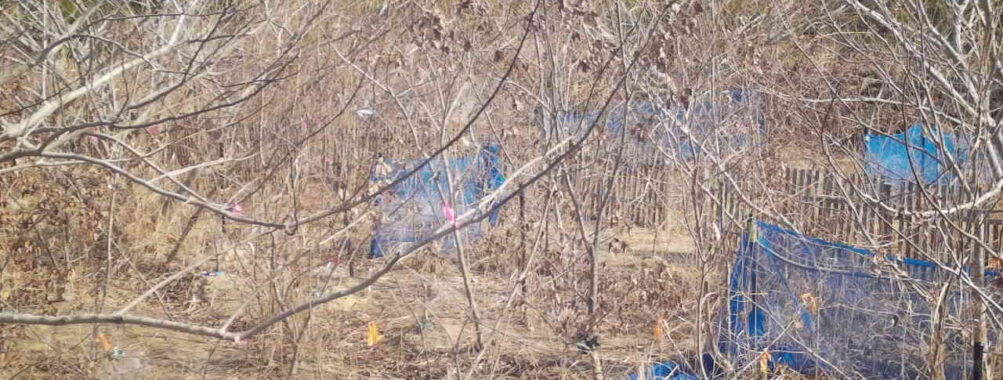 Feb 14 2026 10:13:48, #01