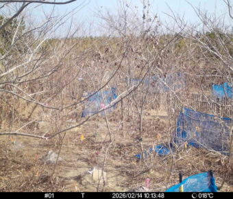 Feb 14 2026 10:13:48, #01