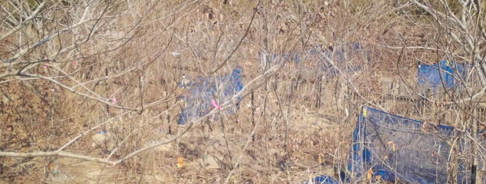 Feb 14 2026 13:13:47, #01