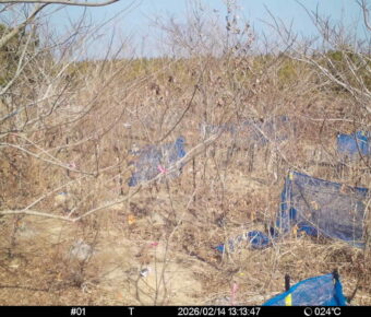 Feb 14 2026 13:13:47, #01