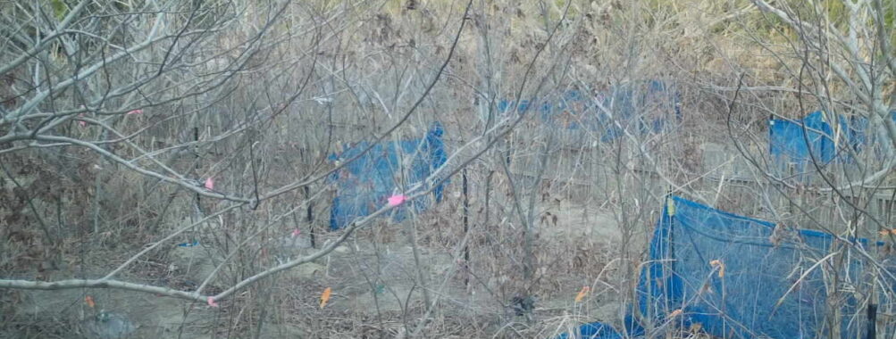 Feb 14 2026 16:13:48, #01