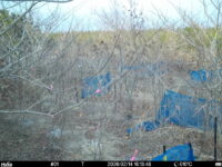 Feb 14 2026 16:13:48, #01