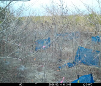 Feb 14 2026 16:13:48, #01