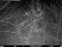 Feb 15 2026  1:13:47, #01