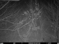 Feb 15 2026  4:13:48, #01