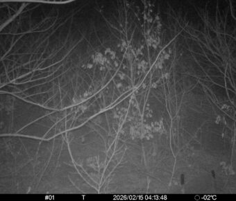 Feb 15 2026  4:13:48, #01