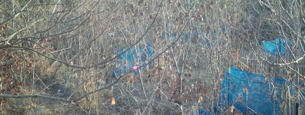 Feb 15 2026  7:13:48, #01