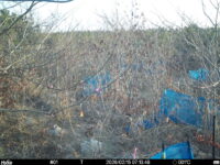 Feb 15 2026  7:13:48, #01