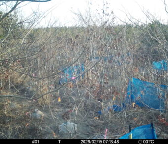 Feb 15 2026  7:13:48, #01