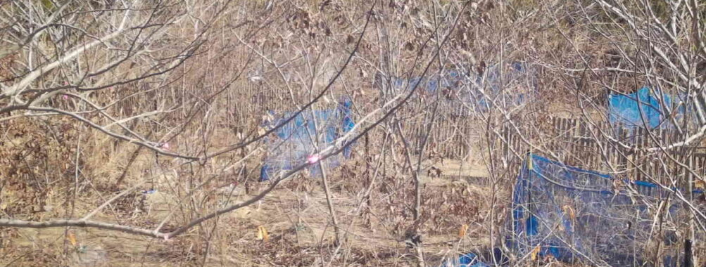 Feb 15 2026 10:13:48, #01