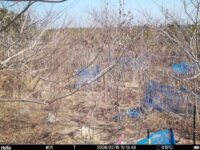 Feb 15 2026 10:13:48, #01