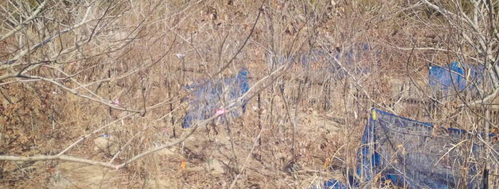 Feb 15 2026 13:13:47, #01