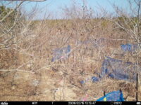 Feb 15 2026 13:13:47, #01