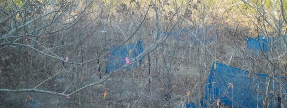 Feb 15 2026 16:13:48, #01