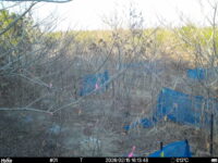 Feb 15 2026 16:13:48, #01