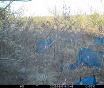 Feb 15 2026 16:13:48, #01