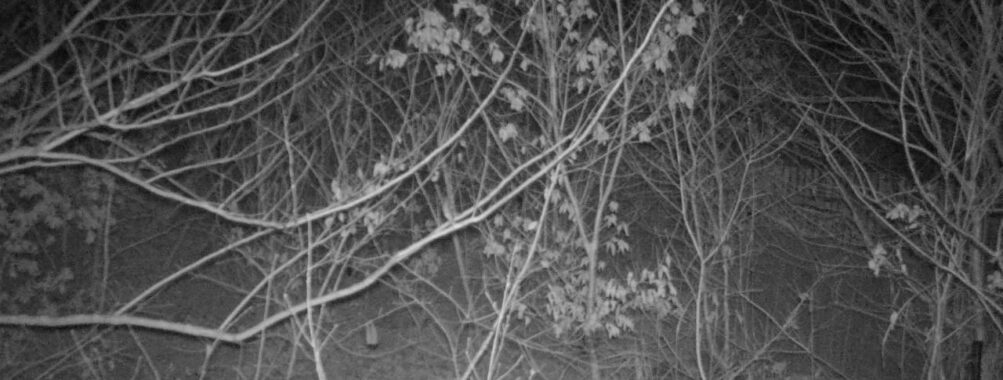 Feb 15 2026 19:13:48, #01