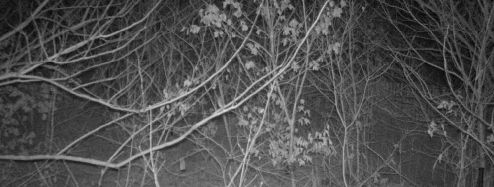 Feb 16 2026  1:13:46, #01