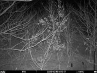 Feb 16 2026  1:13:46, #01